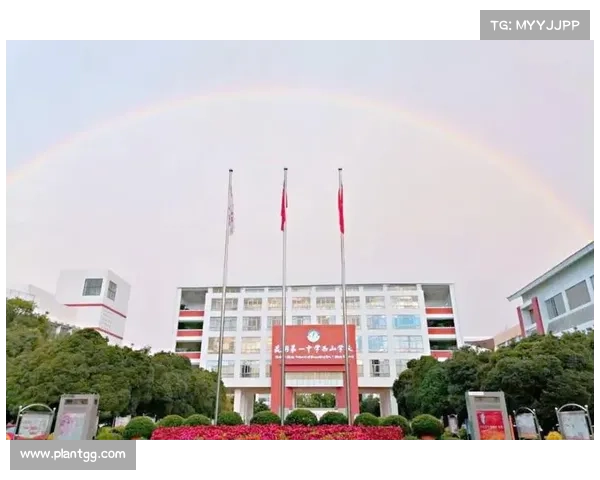 魔兽9.0：站桩升级，打造卓越之路