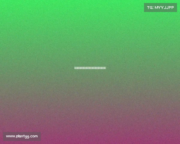 电子竞技牌照那里查询、电子竞技比赛结果查询